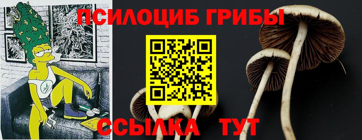 Стрежевой  Галлюциногенные грибы Magic Shrooms  Вход с VPN 