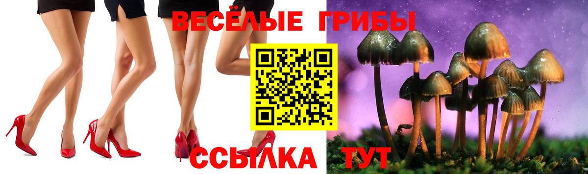 Псилоцибиновые грибы мицелий Стрежевой